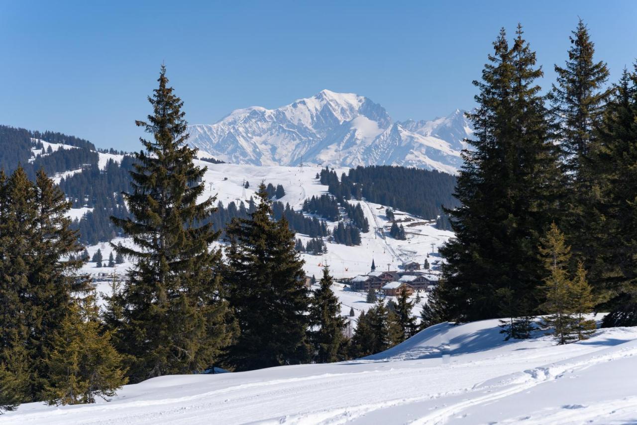 Les Saisies Appart 1 Chambre Au Pied Des Pistes Exteriör bild