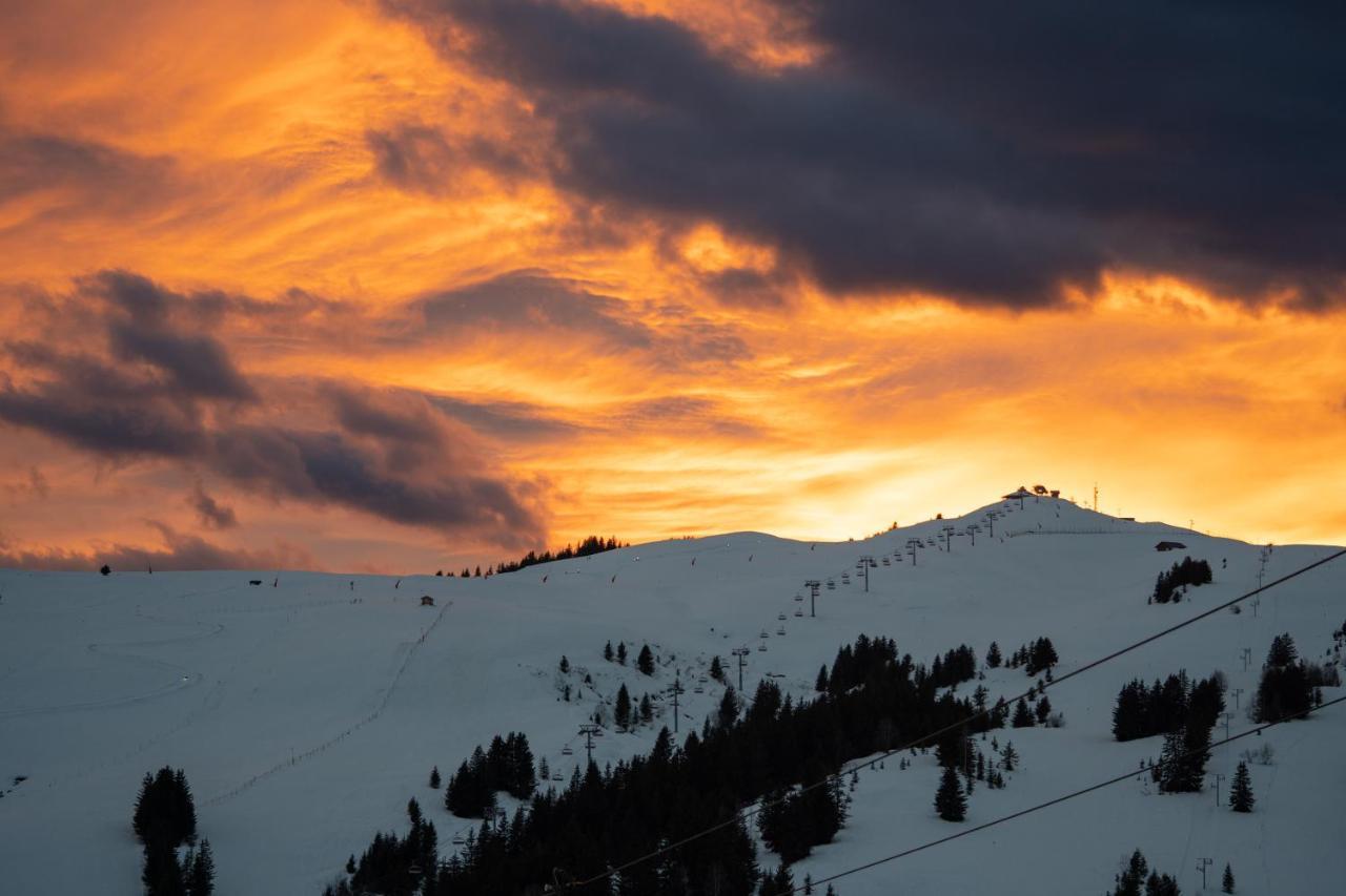 Les Saisies Appart 1 Chambre Au Pied Des Pistes Exteriör bild